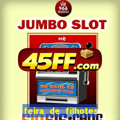 feira de filhotes porto alegre